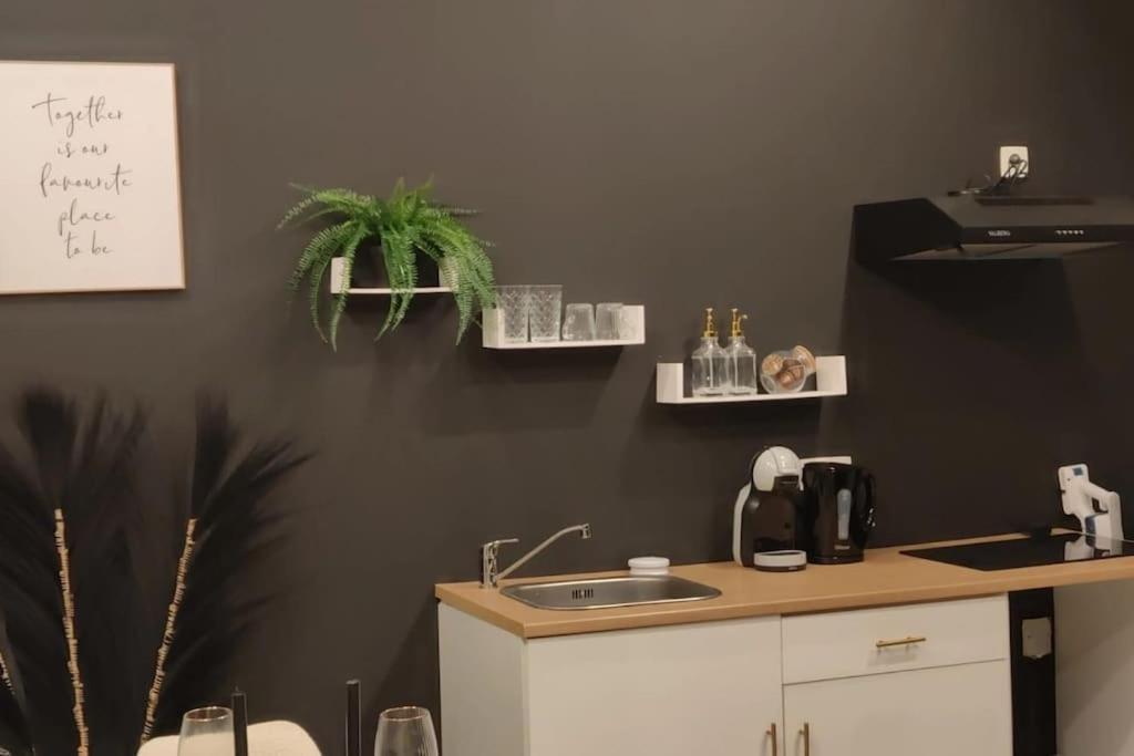 Logement Romantique Et Cosy Charleroi Esterno foto